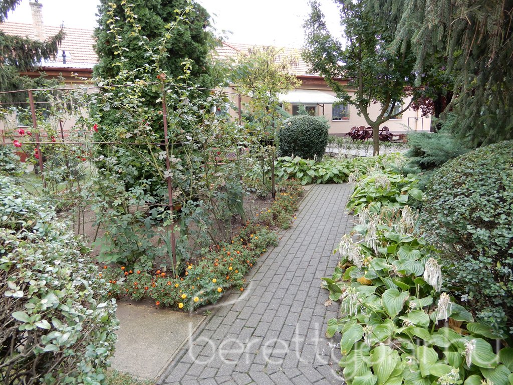 Szüreti mulatság 33